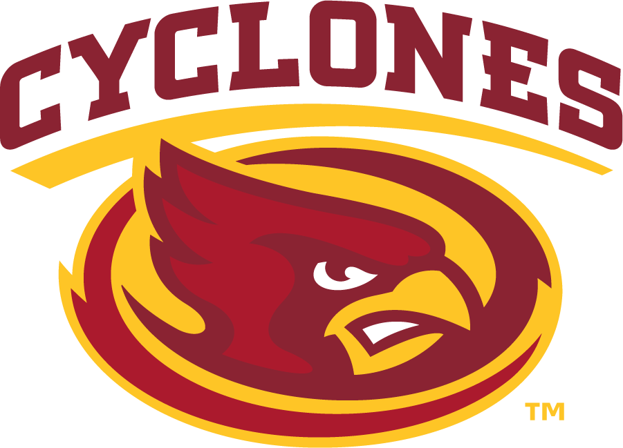 Iowa State Cyclones 2008-Pres Secondary Logo v2 iron on transfers for T-shirts